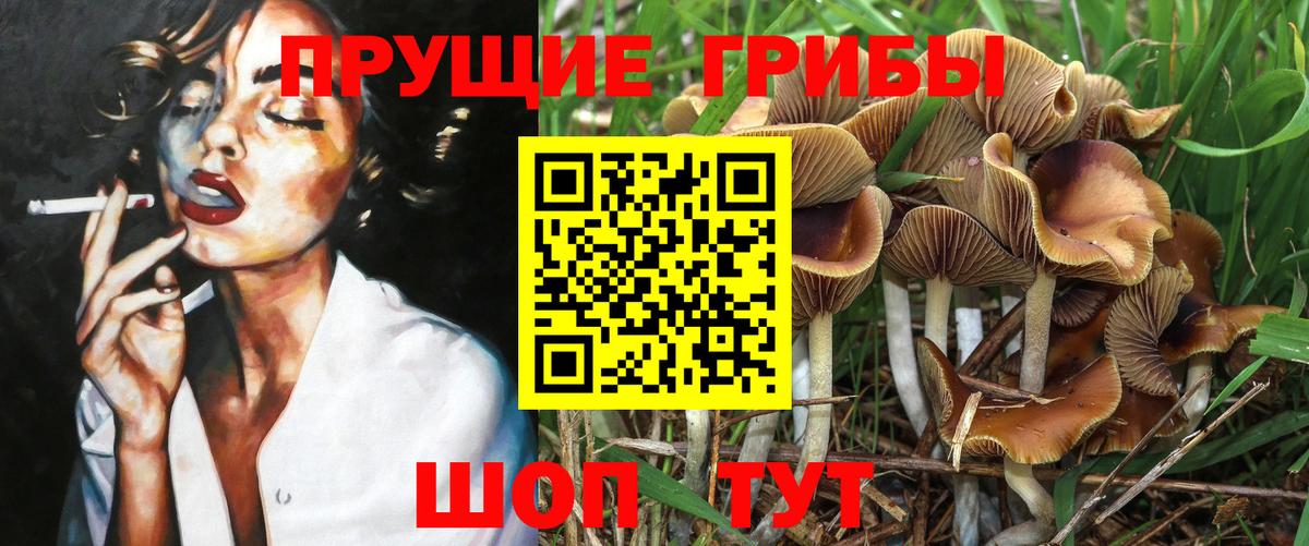 Псилоцибиновые грибы прущие грибы Нижнеудинск
