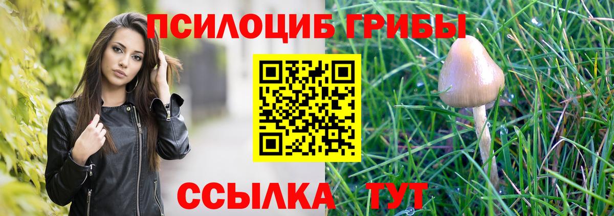 Галлюциногенные грибы Magic Shrooms  Вход с VPN  Нижнеудинск 